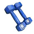 Dumbbell Set 10kg (5kg+5kg) - Blue. 