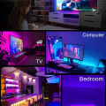 LED Strip Light DC12V (5 meters) RGB SMD2835 Or SMD5050 Strip lights for ceiling decoration Decoration Lamp TV/PC Back Light.