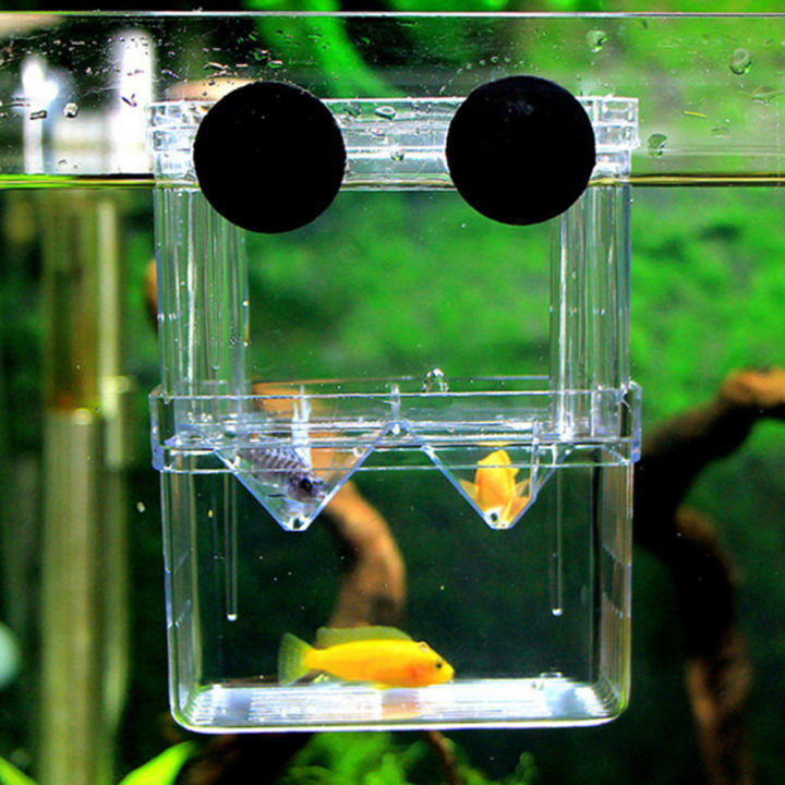 Qiunery%203%20Sizes%20Double-layer%20Clear%20Fish%20Breeding%20Isolation%20Box%20Aquarium%20Fish%20Tank%20Hatching%20Incubator%20Fish%20House%20-%20Image%203