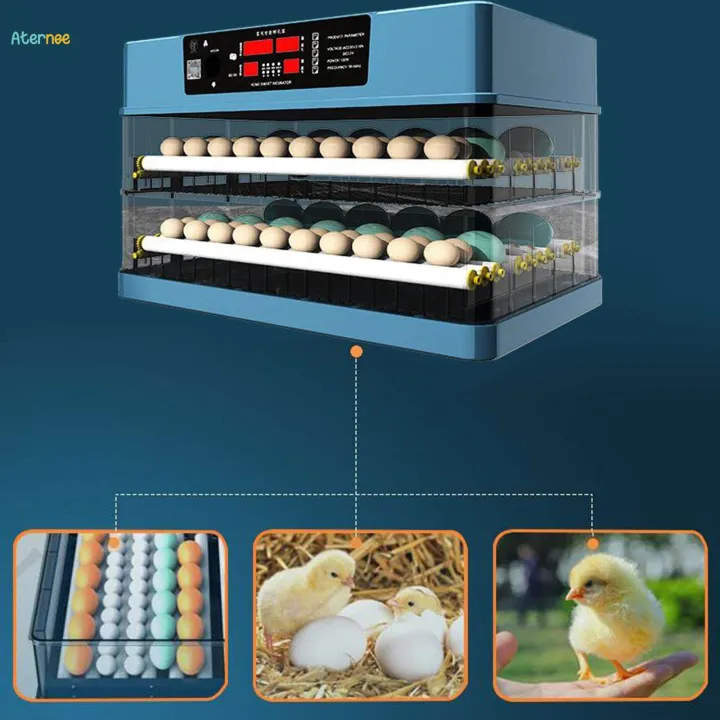 Automatic%20Egg%20with%20Egg%20Light%20Egg%20Hatcher%20for%20Chicken%20Goose%20126%20Egg%20single%20power%20-%20Image%203