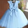 Baby Girls Party Dress. 