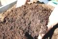 Coco peat Media For Seedling 2 kg. 