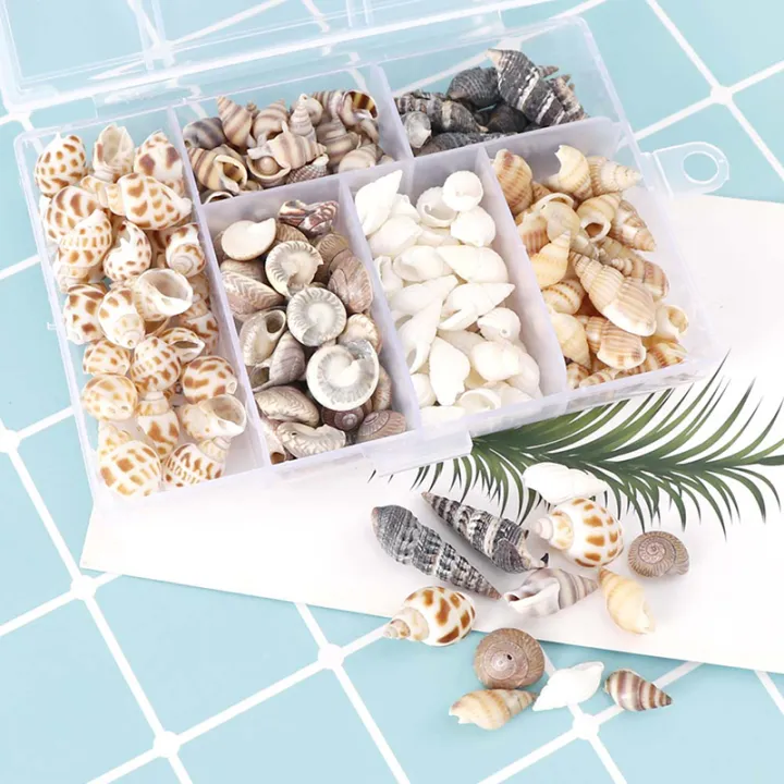 About%20100Pcs/Box%20Natural%20Conch%20Shells%20Aquarium%20Landscape%20Seashells%20Crafts%20Decor%20Cherry%20Super%20Store%20-%20Image%203
