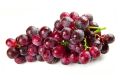 All Season Red Grape Seeds - 20 Pcs SeedS. 