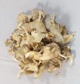 Oyester Dry Mushroom 100gm Dried Oyster Mushrooms Dried Oyster Mushrooms, Organic Sliced Mushroom. 