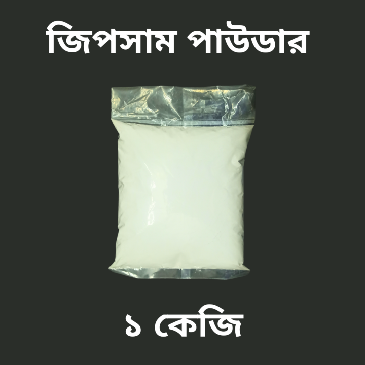 1 kg Gypsum Powder/ Plaster Of Paris For Art and Sculpture, Creative Projects.