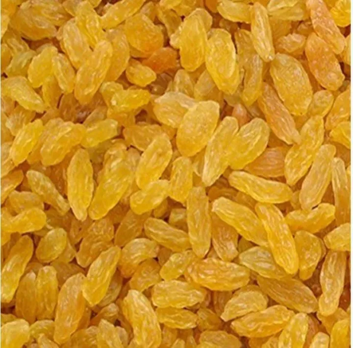 Golden%20Raisins%20Kismis%20Seedless%20-%20500gm%20(impoted)%20-%20Image%203
