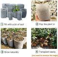 Nursery Poly Bags/Grow Bags (5"X6" @500Gm). 