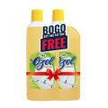 Buy one Get one Finis Ozol Complete Cleaner - 500 ml. 