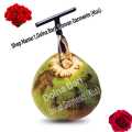 Coconut Hole Opener/Coconut Opener/Coconut Cutter/Dav Opener/Green Coconut Hole Opener. 