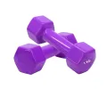 Premium Quality 1kg vinyl Dumbbell 2 pcs ( 4 color available ) - Sports & Fitness.