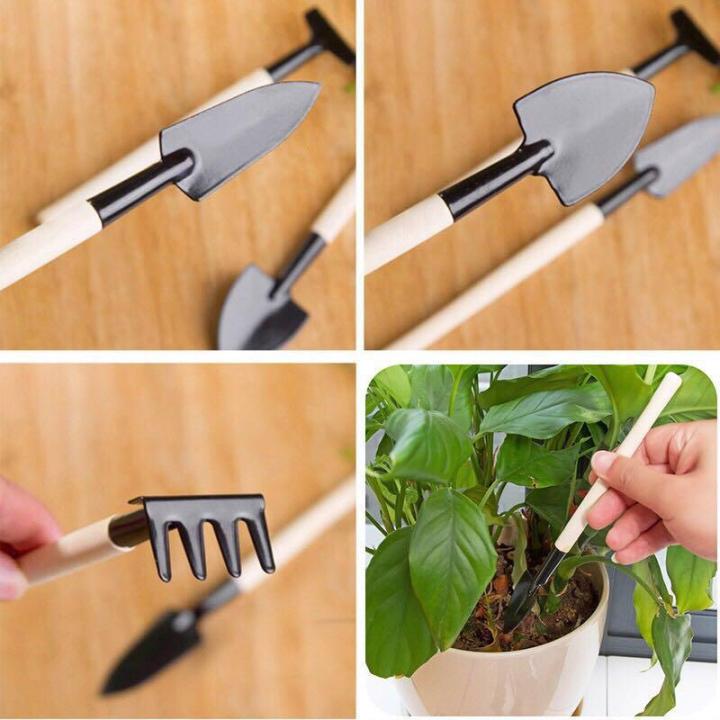 Gardening%20Tools%20Sets%20(3%20Pcs)%20Spade%20Shovel%20Rake%20for%20Garden%20Plants%20Care%20House%20Plants%20Flower%20Pot%20Cactus%20Vegetables%20Kids%20Indoor%20Small%20Plants%20Mini%20Medium%20Plant%20Tool%20Succulent%20Kit%20-%20Gardening%20Tools%20-%20Image%204