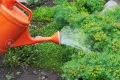 Plastic garden watering can 10 L. 