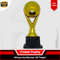Golden Colour Cricket Player Award Trophy - Best Player Award Trophy 8 Inches 1 pcs. 