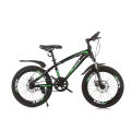 XSD 20 inch Spok Rim Bicycle-MTB (Green & Black). 