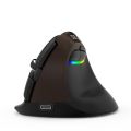 (COD) DELUX M618Mini Colorful Wireless Luminous Vertical Mouse Bluetooth Rechargeable Vertical Mouse. 