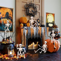 1 Piece Halloween Skeletons Decorations Posable Plastic Skeleton Full Body Skeleton with Movable Joints White.