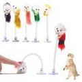 Cats Funny Cat Toy Pet Set Schtch Schine. 
