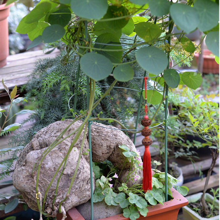 45/60/75CM%20Climbing%20Plant%20Support%20Cage%20Garden%20Trellis%20Flowers%20Tomato%20Stand%20With%203%20Rings%20-%20Image%205