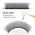 winky beauty 3D/4D/5D/6D/7D/8D Natural Professional Lashes Automatic Flower W Shape Bloom Premade Fans Eyelash Extensions Y Lash. 