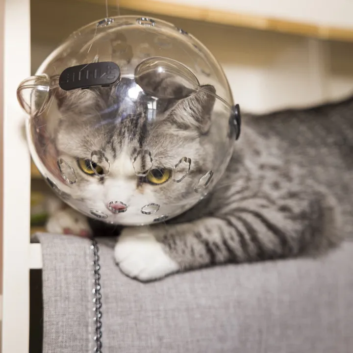 GC%20Pet%20Transparent%20Head%20Protective%20Space%20Ball%20Breathable%20Anti-bite%20Anti-Licking%20Cute%20Cat%20Ear%20Design%20Recovery%20Helmet%20-%20Image%209