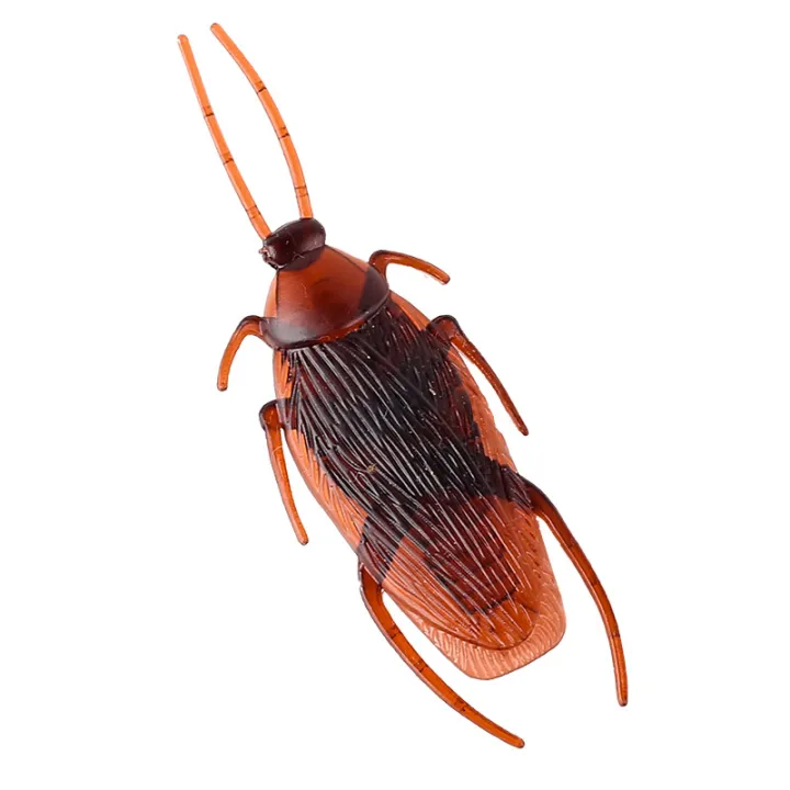 10%20Pcs%20Halloween%20Simulation%20Cockroach%20Toy%20Funny%20Disgusting%20Scary%20Tidy%20for%20Holiday%20Decorations%20-%20Image%202