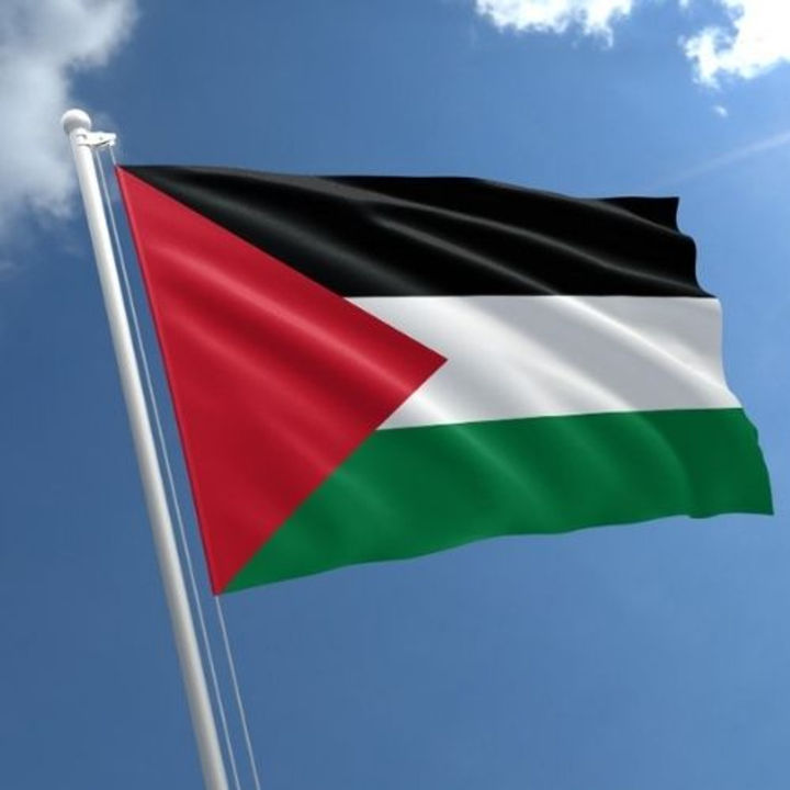 National%20flag%20of%20the%20State%20of%20Palestine%20flag%20-%20Image%203
