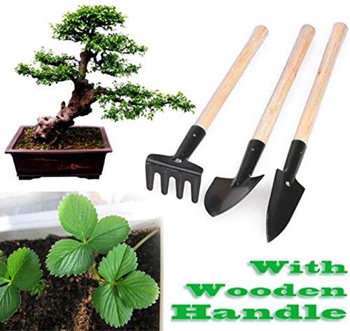 3Pcs%20Plant%20Gardening%20tools%20Wood%20Practical%20Mini%20Garden%20Handle%20Metal%20Head%20Hand%20Tool%20Kit%20Gardener%20Tools%20-%20Image%206