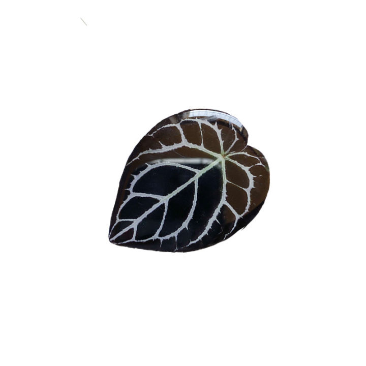 Mobile%20Phone%20Airbag%20Bracket%20Leaves%20Japanese%20and%20Korean%20Fresh%20Style%20Adhesive%20Retractable%20Desktop%20Lazy%20Fellow%20Support%20Air%20Cushion%20Niche%20-%20Image%205