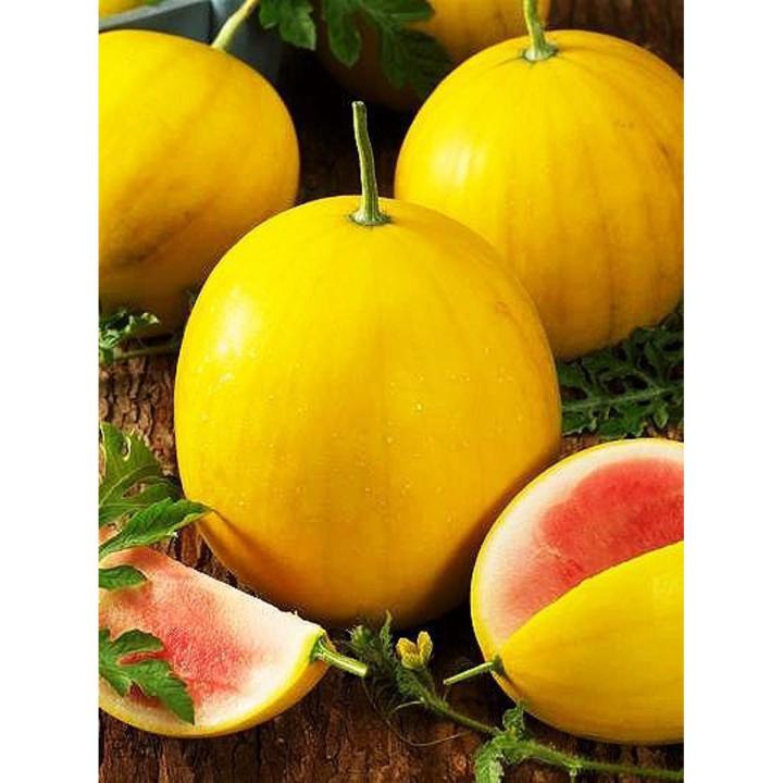 Yellow Lazy melon king watermelon bonsai red meat garden balcony potted vegetableS-10 pcs seedS