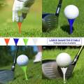 20x Golf Ball Holder Portable Golf Tee for Women Men Beginner Outdoor Sports. 