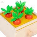 Drawer Toy Montessori Box Wooden Preschool Learning. 