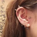 5Pcs Stainless Steel Nose Ring 16 Gauge Septum Piercing Ear Helix Earrings For Women Men Punk Jewelry Lip Piercings Rings. 