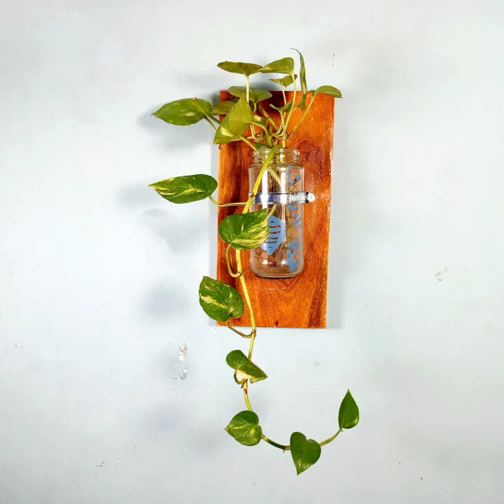 Wall%20hanging%20flower%20Vase%20with%20SS%20clam%20of%20natural%20wood%20and%20glass%20for%20Home,%20office%20and%20living%20room%20.%20(With%20Plant/Without%20Plant%20)%20-%20Image%204