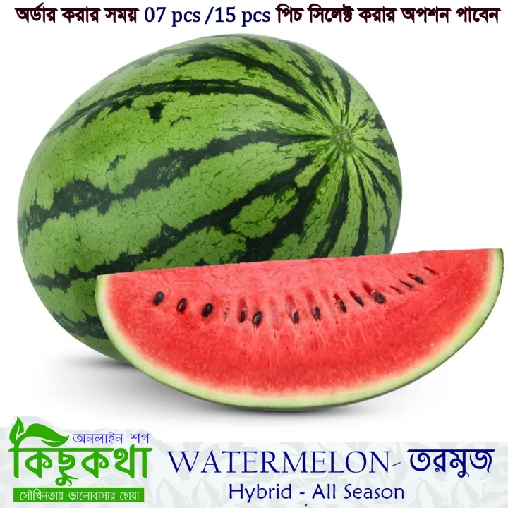 Watermelon%20Seed%20-%2005/10/15%20pcs%20F1%20Hybrid%20All%20Season%20Seed%20-%20%E0%A6%AC%E0%A6%BE%E0%A6%B0%E0%A6%AE%E0%A6%BE%E0%A6%B8%E0%A6%BF%20%E0%A6%A4%E0%A6%B0%E0%A6%AE%E0%A7%81%E0%A6%9C%E0%A7%87%E0%A6%B0%20%E0%A6%AC%E0%A7%80%E0%A6%9C%20%E0%A6%B8%E0%A6%AC%E0%A7%81%E0%A6%9C%20%E0%A6%B0%E0%A6%99%20-%20Image%202