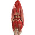Belly Dancing Costume Sets Egyption Egypt Belly Dance Costume Bollywood Costume Indian Dress Bellydance Dress. 