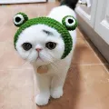 Dog Cat Frog Hat Party Costume Accessory Headwear Grooming Accessories Lovely Pet Hat for Costume M. 