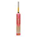 Cricket Bat - Multi Color.