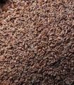 Isobgul Dana/Isubgul / Psyllium Husk/ Isobgul Dana- 200 gm.