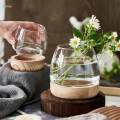 Glass Planter Plant Propagating Jar Desktop Planter for Home Indoor Garden Small. 