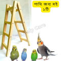 Premium  1 Feet Long Wooden Bird ladder fun cage toy for bird training  -1PCS. 