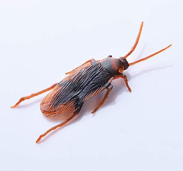 Funny%20toy%20Fake%20Cockroach%20Novelty%20Roaches%20Bugs%20Realistic%20Insects%20toy%20Prank%20Simulation%20Tricky%20Disgusting%20Scary%20Spoof%20toy%205%20pcs%20-%20Image%203