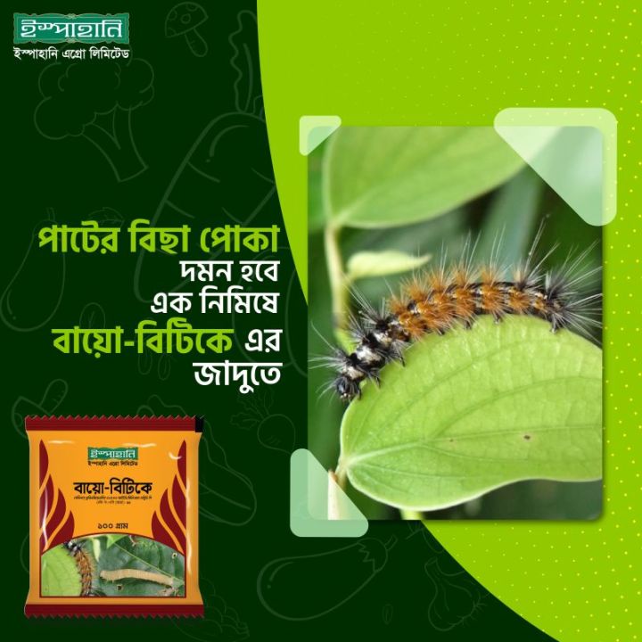 Bio-Bitik Bacillus Thuringiensis (BT) Insecticide - Natural Caterpillar Control