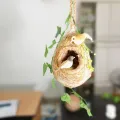 One Hanging Bird Nest with two birds & plant for home and garden decor. Babui Pakhir Basha of 02 size, ( Height with hanging rope15 inch & 14 inch )।.