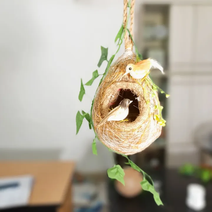 One%20Hanging%20Bird%20Nest%20with%20two%20birds%20&%20plant%20for%20home%20and%20garden%20decor.%20Babui%20Pakhir%20Basha%20%20of%2002%20size,%20(%20Height%20with%20hanging%20rope15%20inch%20&%2014%20inch%20)%E0%A5%A4%20-%20Image%204
