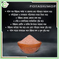 Urea + TSP + Potash (Chemical Fertilizer Combo) - 500+500+500 = 1.5Kg.