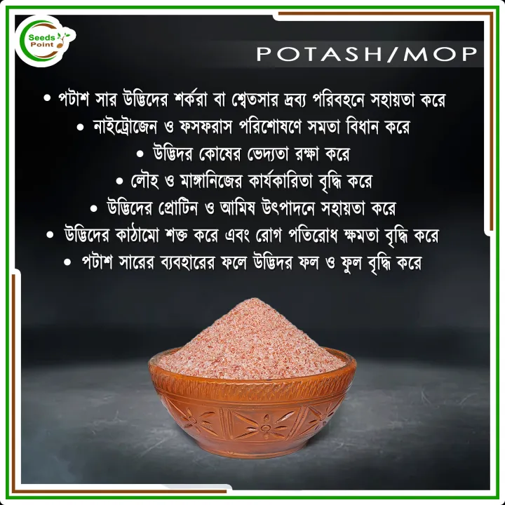 Potash/MOP%20+%20TSP%20(Chemical%20Fertilizer%20Combo)%20-%20500+500%20=%201%20Kg%20-%20Image%203