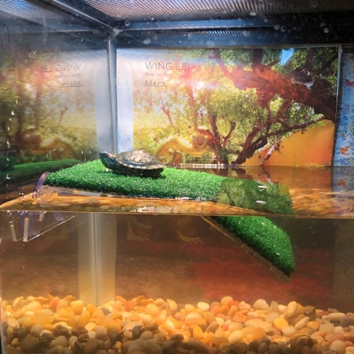 Lawn%20Turtle%20Basking%20Platform%20Turtle%20Resting%20Basking%20Platform,%20Simulation%20Grass%20Turtle%20Ramp%20for%20Turtle%20Tank,%20Reptile%20S%20-%20Image%208