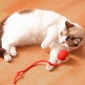 Interactive Cat Toy Ball Super Drive Cat Rolling Balls Motion Activated Sensor Pet Kitten Teaser Game Toy. 