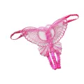 Women Lace Transparent Crotchless Underwear Butterfly Shaped G-String Panties Open Crotch Underwear Lingerie - Panty - Panty. 